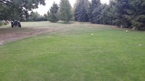 Pole golfowe w Olszewce koło Nakła. Fot. Sławomir Nowak.