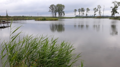 Pałucki zakątek Kołaczkowo. Fot. Sławomir Nowak.