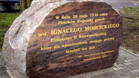 Zdarzył się cud... Fot. Henryk Żyłkowski