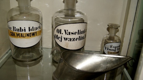 Śladem Ludwika Rydygiera, światowej sławy polskiego chirurga, który urodził się w Dusoninie, a prowadził klinikę w Chełmnie. Fot. Henryk Żyłkowski