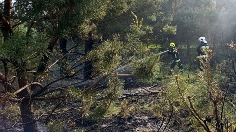 Ogień to śmiertelne zagrożenie dla lasu i ludzi. Fot. facebook.com/kwpspolsztyn