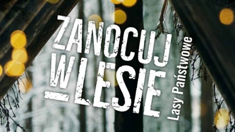 Wykorzystaj okazję i zadbaj o nocleg w lesie. Fot. facebook.com/LasyPanstwowe