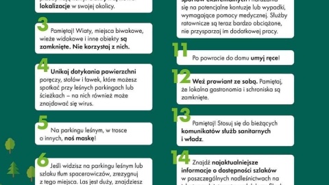Bądź bezpieczny w lesie. Grafika: facebook.com/LasyPanstwowe