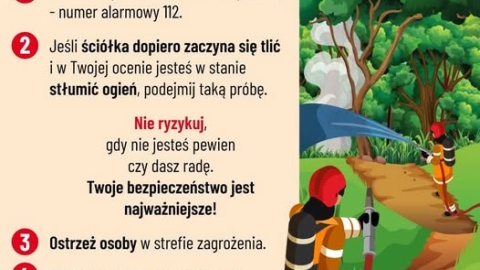 Gdy zauważysz pożar w lesie. Grafika: facebook.com/LasyPanstwowe