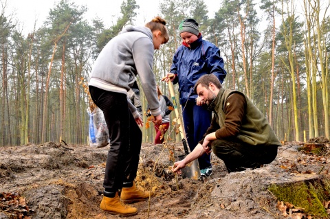 Sadzenie lasu. Fot. Regionalna Dyrekcja Lasów Państwowych w Toruniu