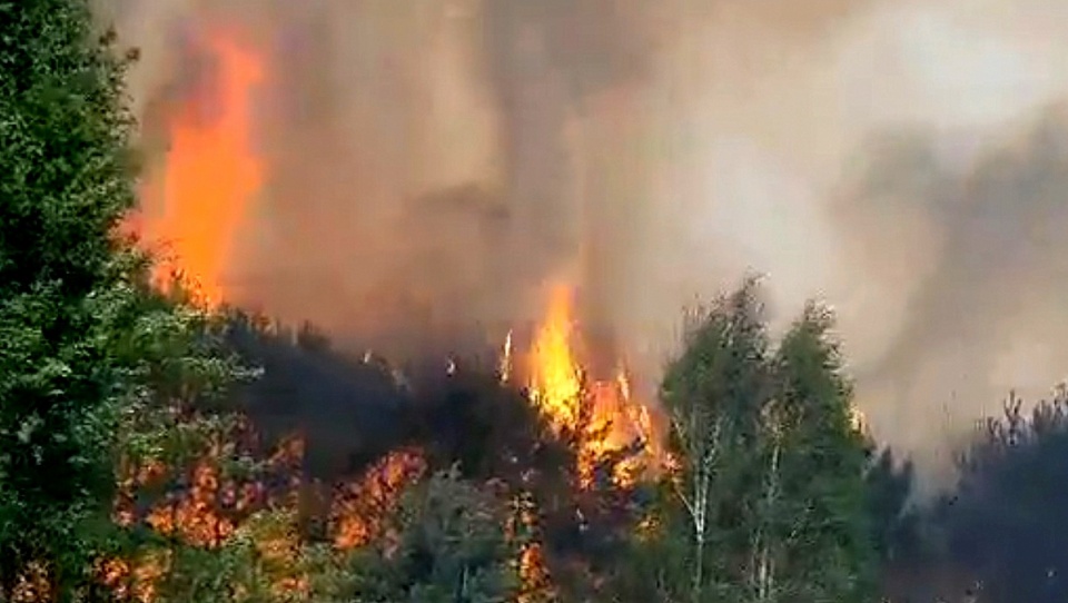 Ogień to śmiertelne zagrożenie dla lasu i ludzi. Fot. facebook.com/LasyPanstwowe