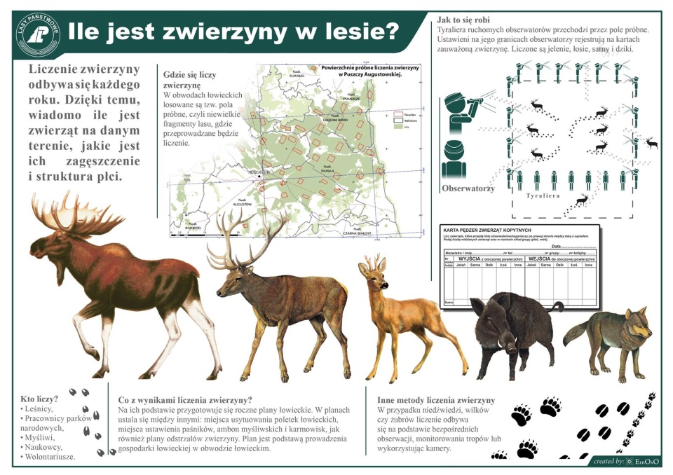 Źródło: facebook.com/LasyPanstwowe