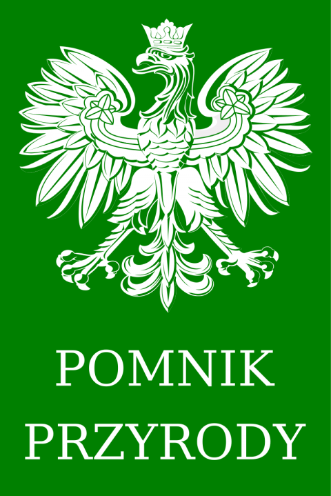 Pomniki przyrody