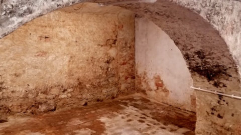 „Feniks z kamienia” czyli odkrywamy tajemnice Koronowa. Fot. Żaneta Walentyn