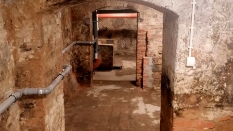 „Feniks z kamienia” czyli odkrywamy tajemnice Koronowa. Fot. Żaneta Walentyn