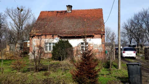 „Może później, czyli wyrabiacze drewna”. Fot. Maciej Miś