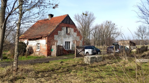 „Może później, czyli wyrabiacze drewna”. Fot. Maciej Miś