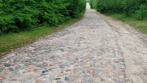 Napoleonski trakt. Ponad dwustuletnia droga prowadząca przez Bory Tucholskie. Fot. Robert Walentyn