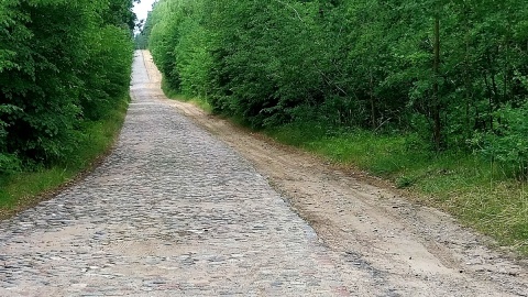 Napoleonski trakt. Ponad dwustuletnia droga prowadząca przez Bory Tucholskie. Fot. Robert Walentyn