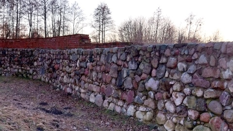 Zamek w Nowym Jasińcu niszczeje zaniedbany od wielu lat. Fot. Żaneta Walentyn