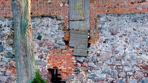 Zamek w Nowym Jasińcu niszczeje zaniedbany od wielu lat. Fot. Żaneta Walentyn