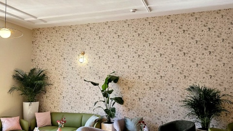 W budynku przy ul. Bydgoskiej 50-52 w Toruniu, mieści się hostel i kawiarenka, w której pracują osoby z niepełnosprawnościami. Fot. Adriana Andrzejewska-Kuras/PR PiK