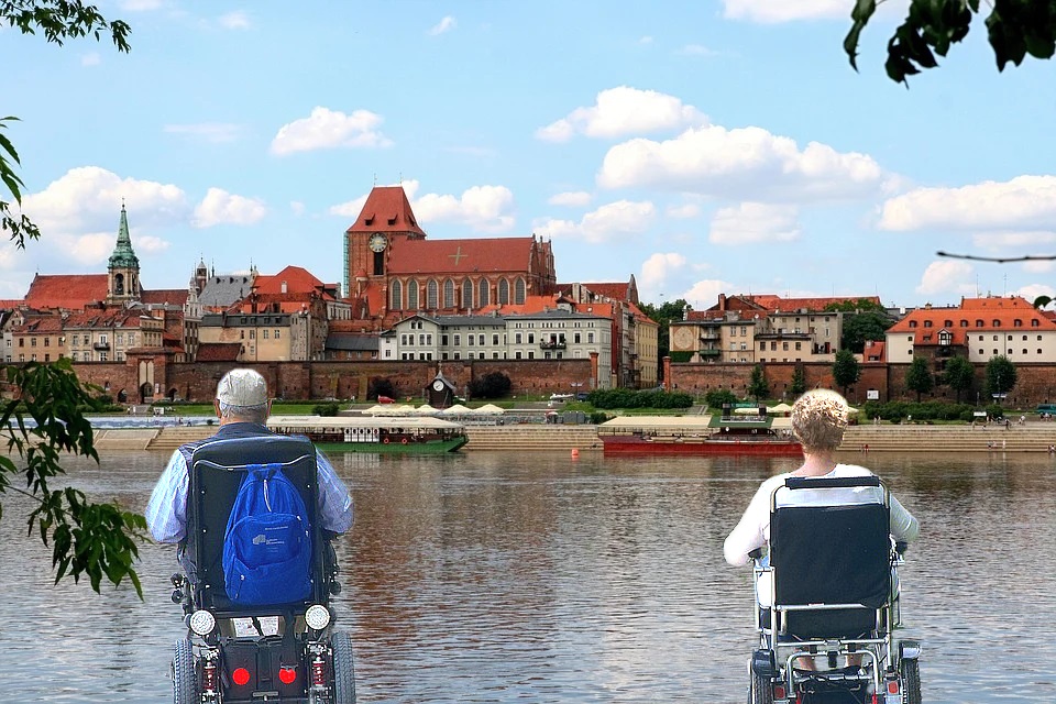 Ich podróż nie była łatwa, jednak w Toruniu znaleźli nowy dom. Fot. ilustracyjna/pixabay.com