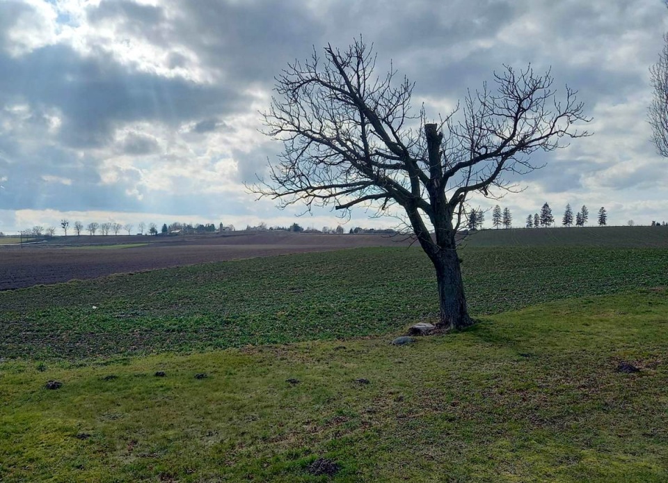 Wieś Ławy w okolicach Rypina. Fot. Michał Słobodzian