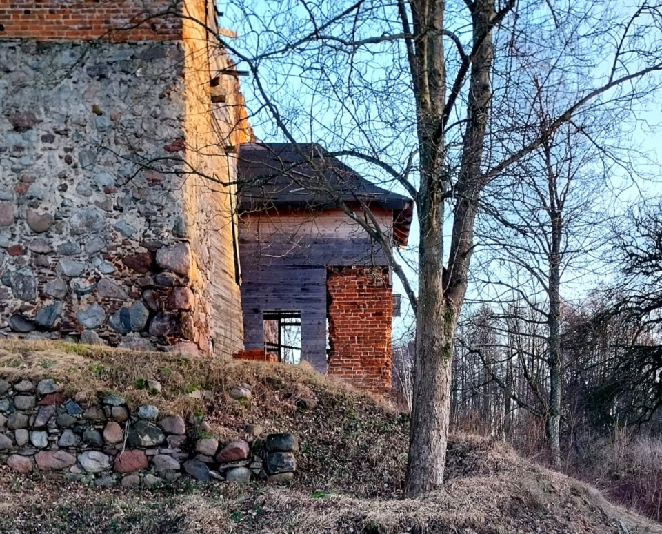 Zamek w Nowym Jasińcu niszczeje zaniedbany od wielu lat. Fot. Żaneta Walentyn
