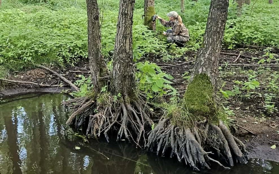 Zakamuflowana pani dr Julia Popowska-Drojecka w trakcie polowania z aparatem fotograficznym na zwierzęta. Fot. Adriana Andrzejewska-Kuras/PR PiK