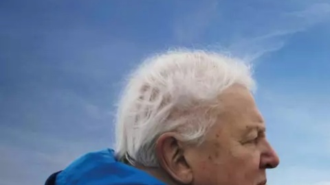 Źródło: filmweb.pl