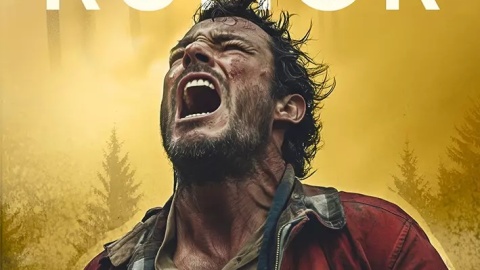 Źródło: bonito.pl