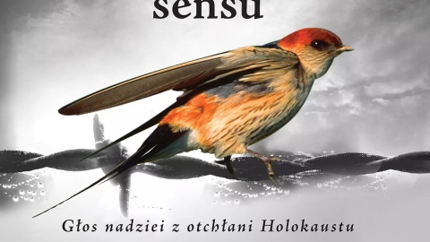 Źródło: bonito.pl