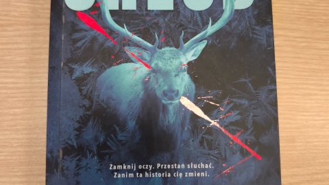 Thriller pt. „Chłód”/fot. Bartosz Nawrocki