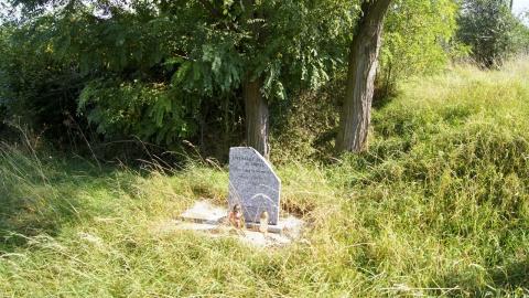 Fot. Henryk Żyłkowski