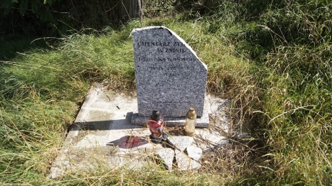 Fot. Henryk Żyłkowski