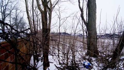 Składowisko opon w Unisławiu. Fot. Henryk Żyłkowski