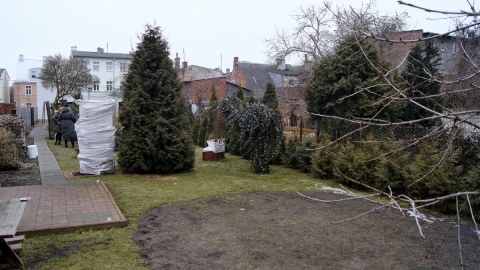 Czy mieszkańcy ul. Jasnej 17 w Bydgoszczy stracą przydomowe ogródki? Fot. Henryk Żyłkowski