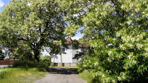 Teren do wpisu w rejestrze zabytków czy pod osiedlową infrastrukturę? Fot. Henryk Żyłkowski