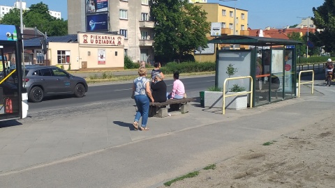 Przystanki autobusowe, które miały zamienić się w zielone wiaty, pozostawiają wiele do życzenia. Fot. Adriana Andrzejewska-Kuras