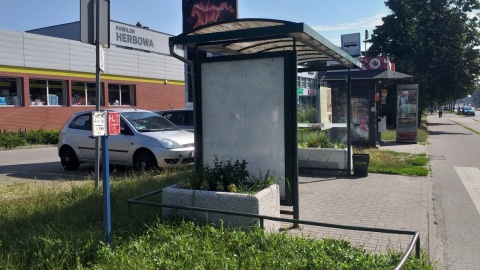 Przystanki autobusowe, które miały zamienić się w zielone wiaty, pozostawiają wiele do życzenia. Fot. Adriana Andrzejewska-Kuras