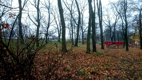 Mieszkańcy Torunia nie chcą się zgodzić, by nowa droga powstała kosztem parku Glazja. Fot. Michał Zaręba