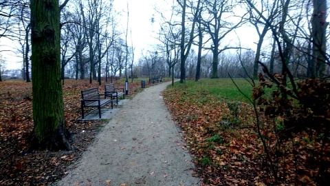 Mieszkańcy Torunia nie chcą się zgodzić, by nowa droga powstała kosztem parku Glazja. Fot. Michał Zaręba
