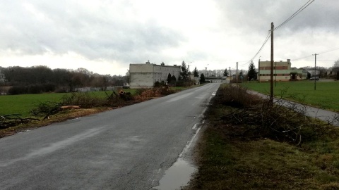 Wycinka drzew w Pluskowęsach w gminie Chełmża. Fot. Michał Słobodzian