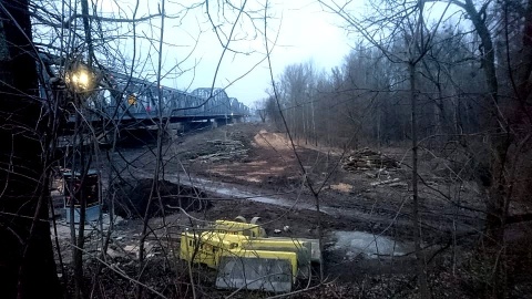 Mieszkańcy Torunia zbulwersowani są wycinką drzew przy remontowanym moście im. Józefa Piłsudskiego. Fot. Michał Zaręba