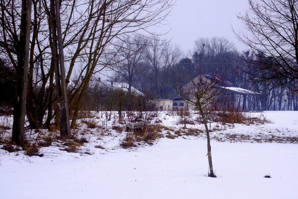 Tajemnice XVIII-wiecznego pałacu. Fot. Henryk Żyłkowski