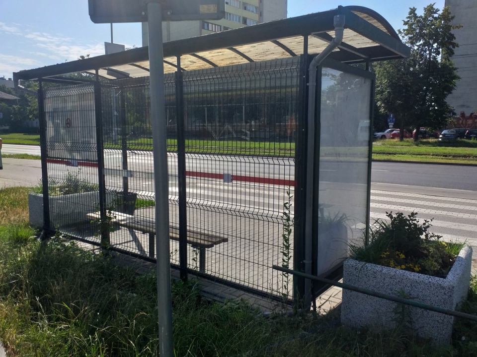 Przystanki autobusowe, które miały zamienić się w zielone wiaty, pozostawiają wiele do życzenia. Fot. Adriana Andrzejewska-Kuras