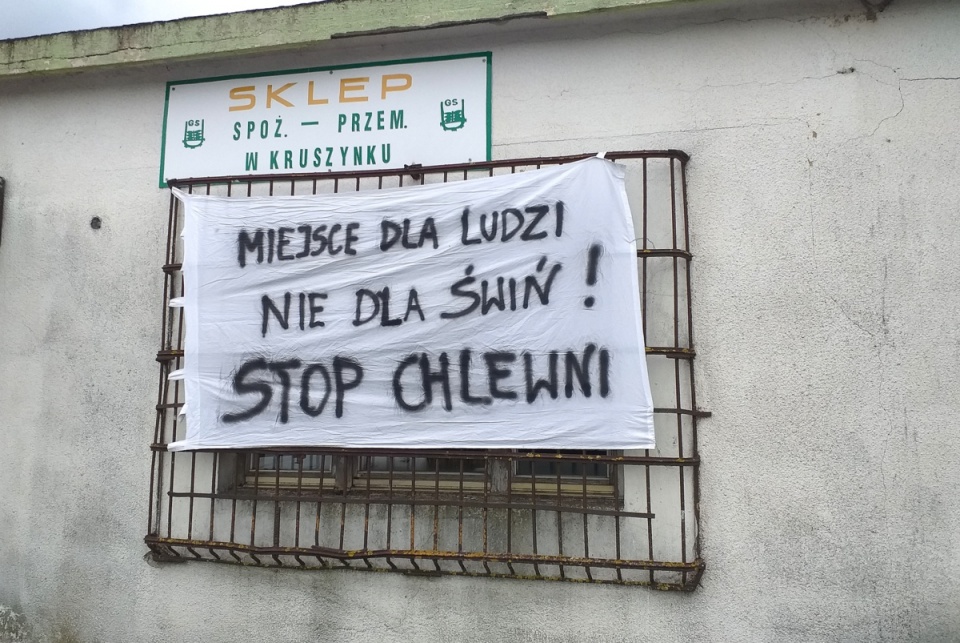 Mieszkańcy Kruszynka w gminie Koneck protestują przeciwko powstaniu ogromnej chlewni. Fot. Adriana Andrzejewska-Kuras