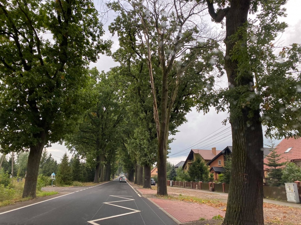 Fot. Marcin Doliński