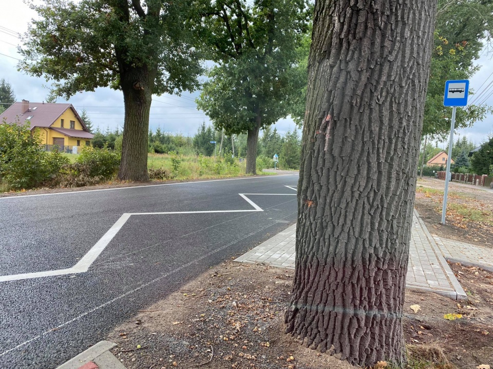 Fot. Marcin Doliński