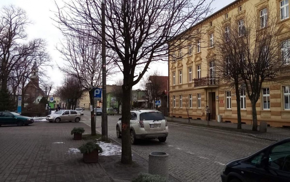 Projekt przebudowy ul. 700-lecia w Żninie zakładający wycinkę przeszło 60 rosnących przy niej drzew wywołał protesty mieszkańców. Fot. Tomasz Gronet/arch. PR PiK