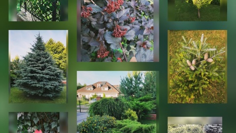 Fot. Angelika Grobelna