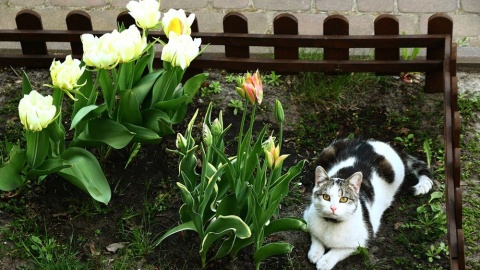 Fot. Bogna Gapińska