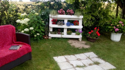 Fot. Danuta Sójkowska