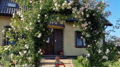 Fot. Magdalena Barylak